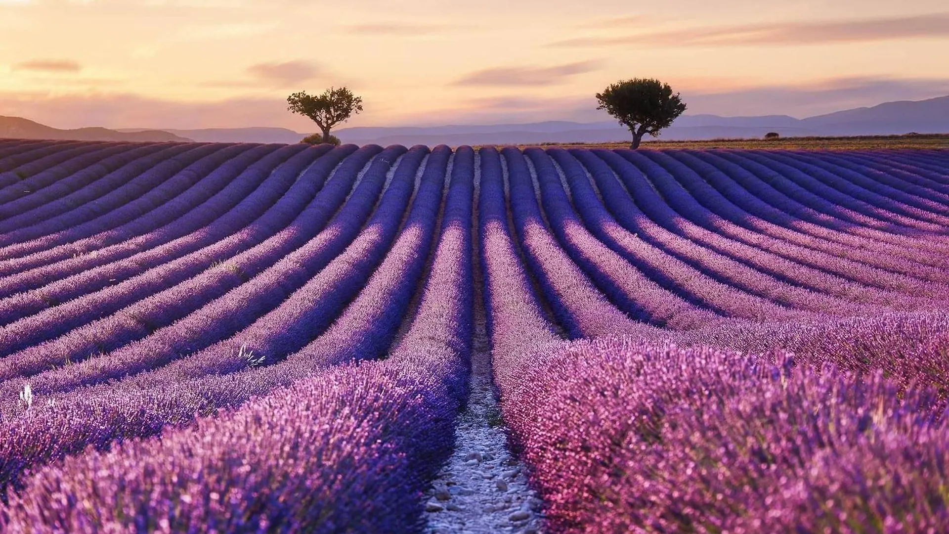 Cottage In The Clos De La Tuilerie Valensole França